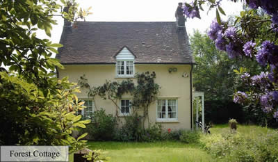 Forest Cottage